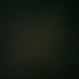 Meet your Posher, Vaneshia