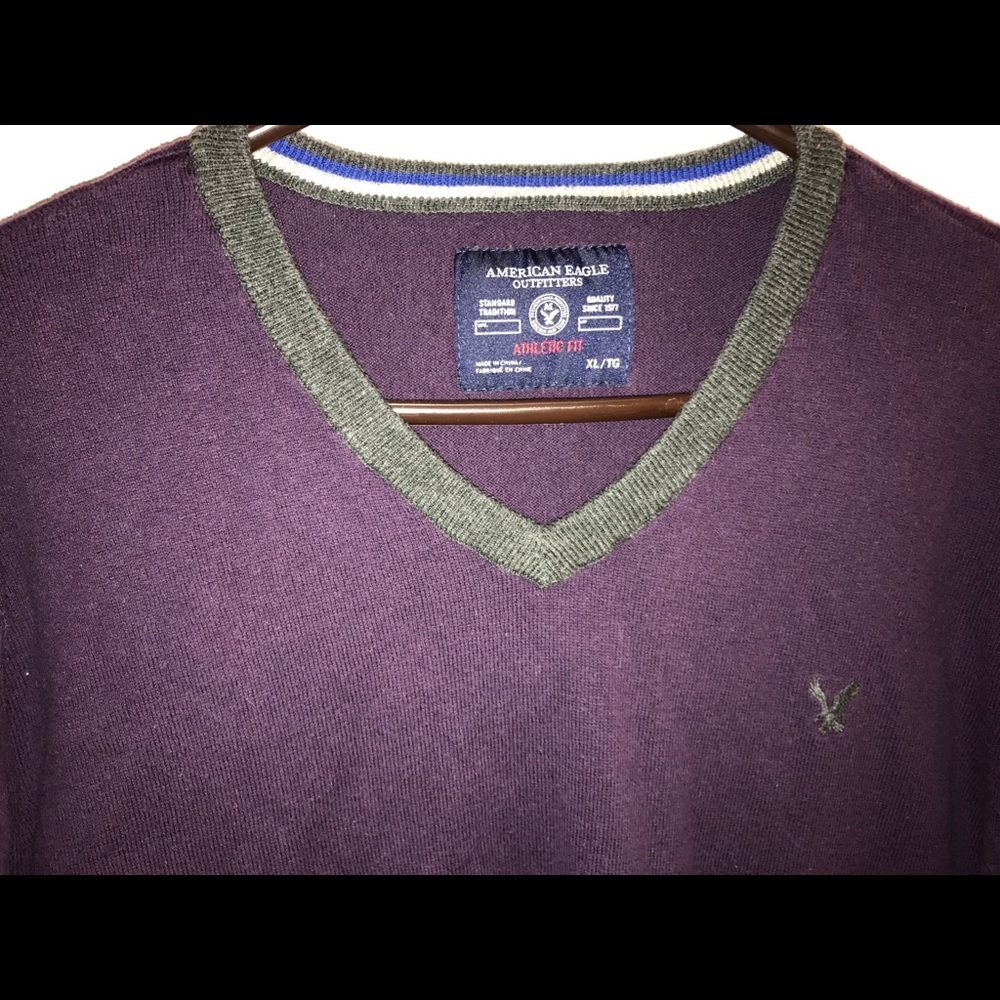 Purple American eagle sweater