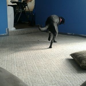 Meet your Posher, Sean