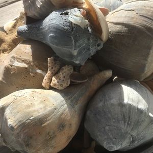 Meet your Posher, Sharon