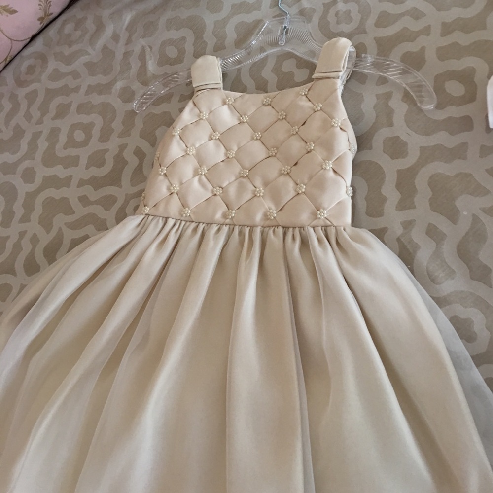 Little girls dress, only wore in a picture!
