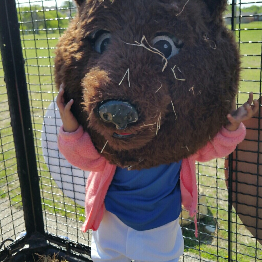 💕Baseball 💕 - Picture 4 of 4