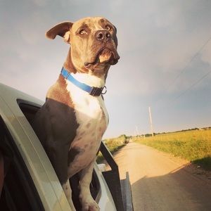 Meet your Posher, Jeff