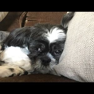 Meet your Posher, Melody