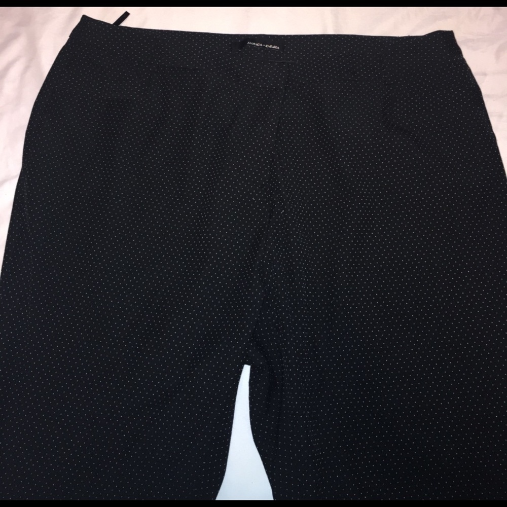 Polka Dot Black and White Pants