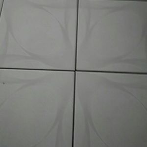 Meet your Posher, Esther