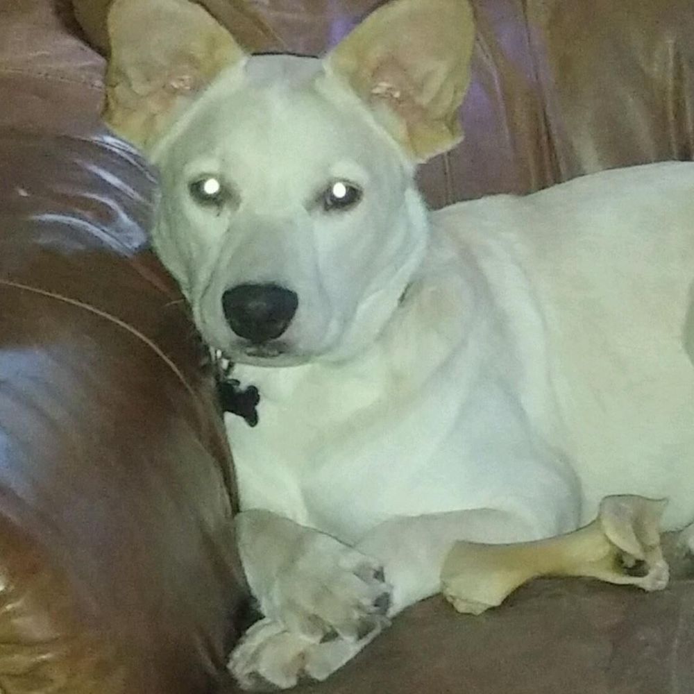 Meet your Posher, Suzan