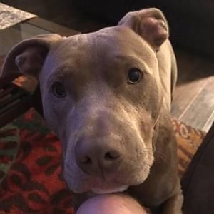 Meet your Posher, Arikka