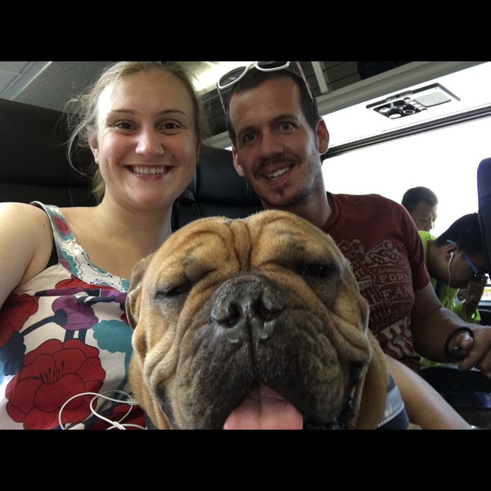 Meet your Posher, Alina