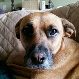 Meet your Posher, Gwen