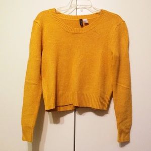 H&M Cropped Sweater