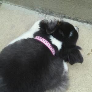 Meet your Posher, Emma