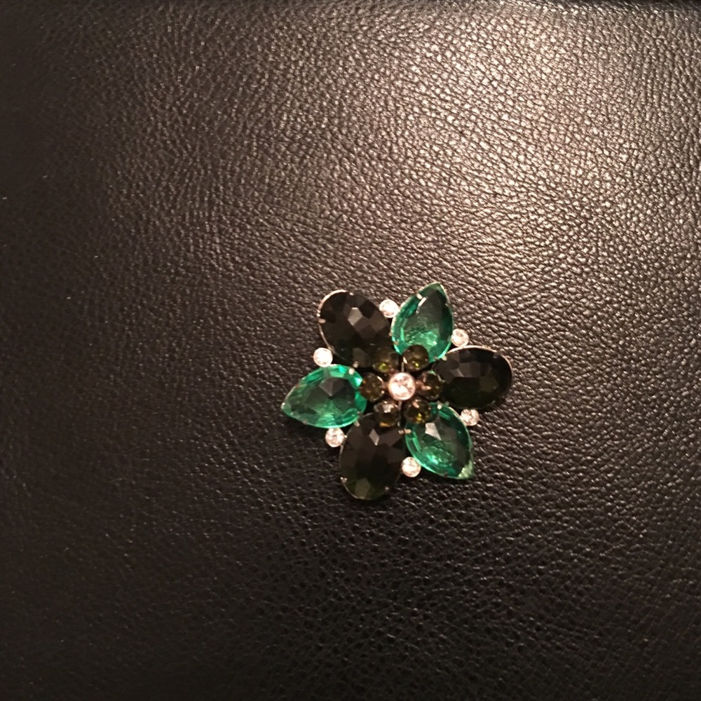 Brooch/pin
