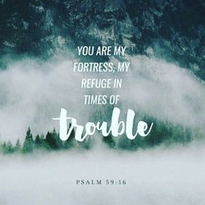 Meet your Posher, Jules