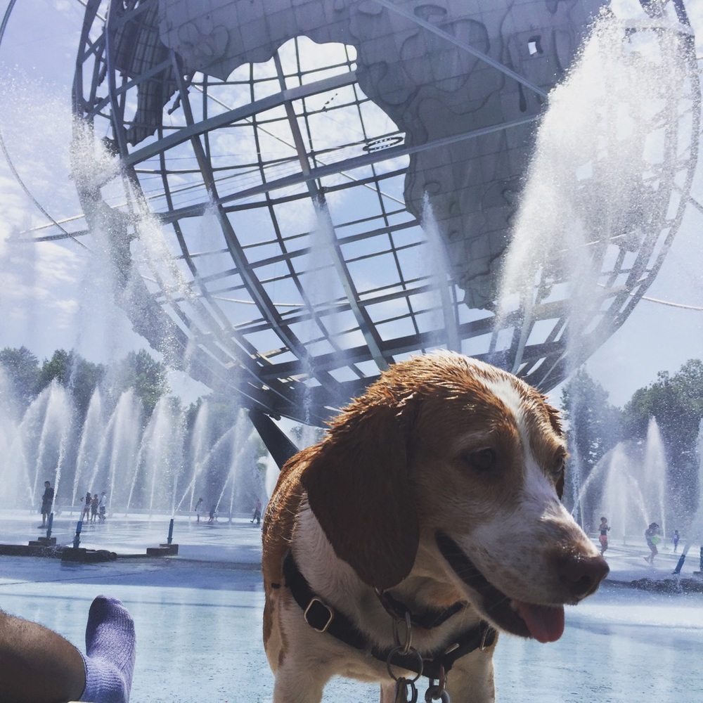 Meet your Posher, Ariana