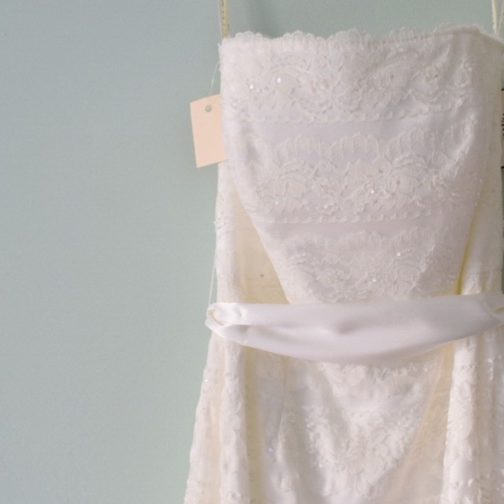 NEW Lace wedding Dress/Gown NeverWorn