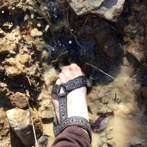 Meet your Posher, Lynn