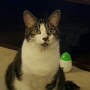 Meet your Posher, Chris