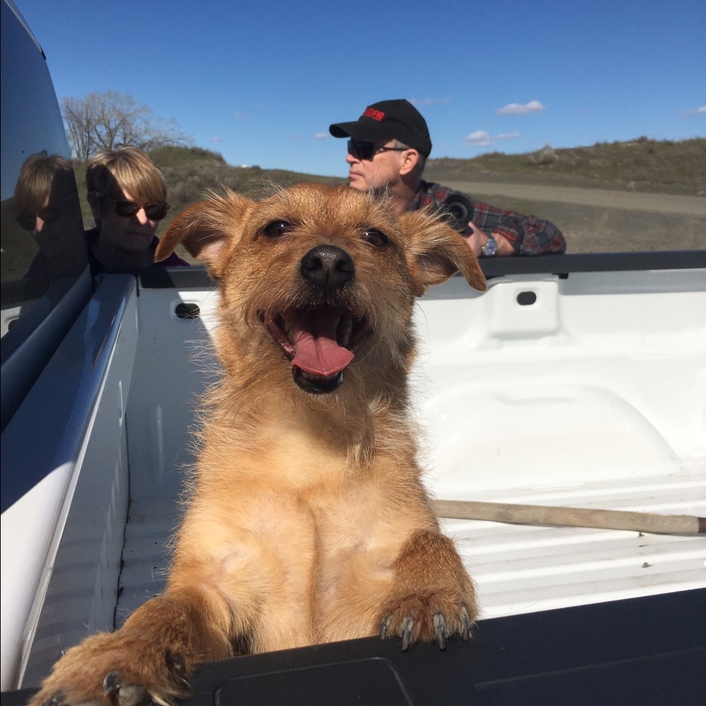 Meet your Posher, Corrie