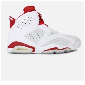 Air Jordan 6 Retro