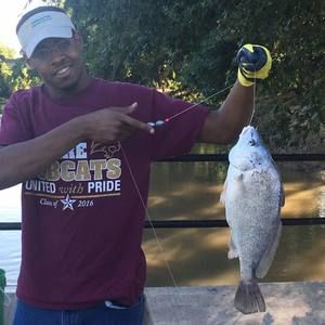 Meet your Posher, Kyle