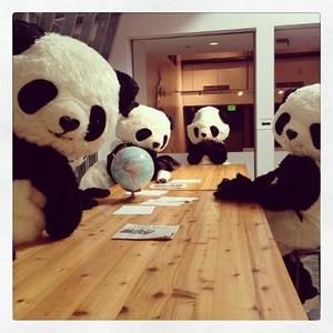 Meet your Posher, Cayla