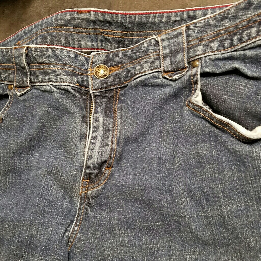 Lane Bryant Jeans