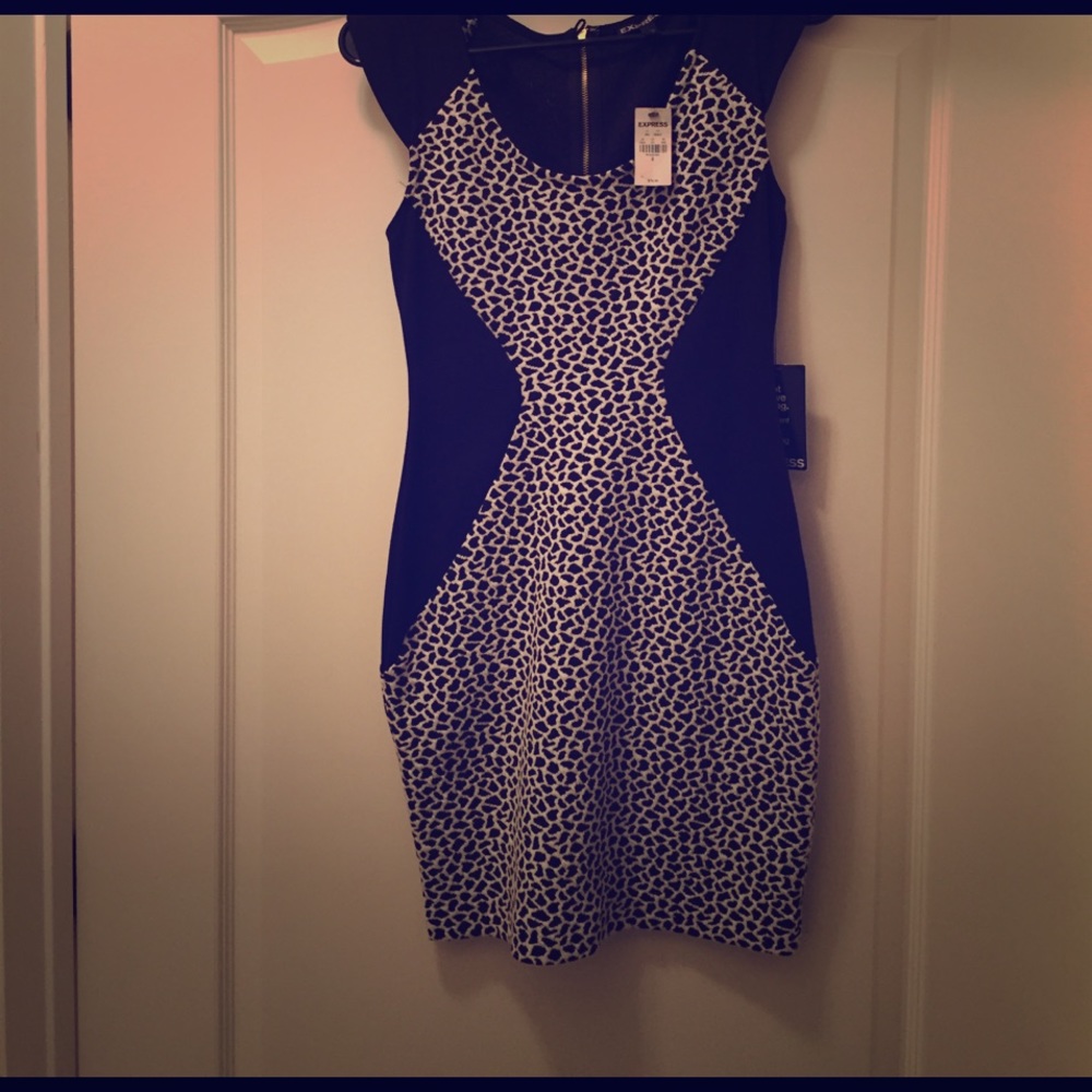 Fitted club dress