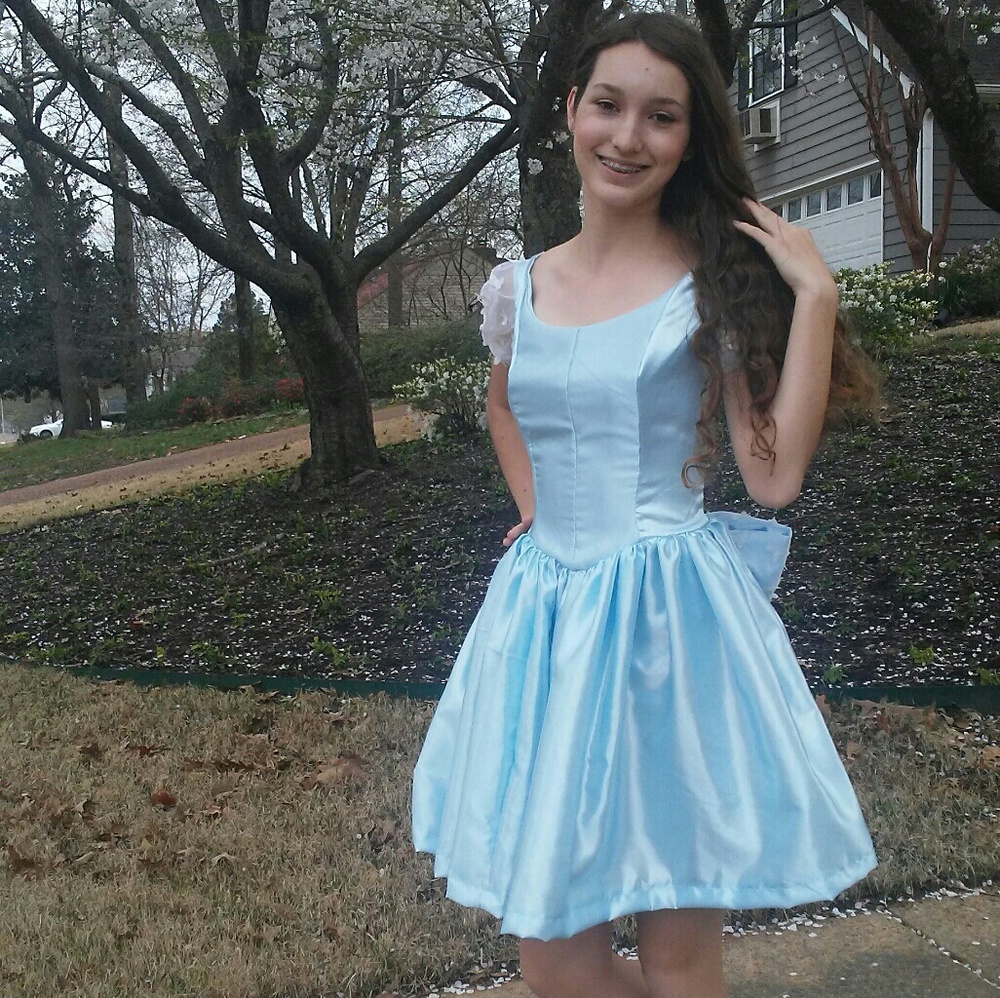 Cinderella Inspired Dress Custom Made - Picture 1 of 3