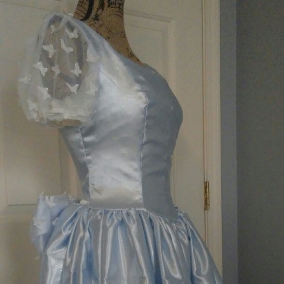 Cinderella Inspired Dress Custom Made - Picture 3 of 3