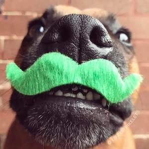 Meet your Posher, Deb