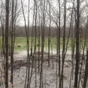 Meet your Posher, Faith