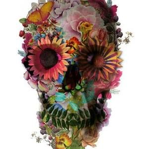 Meet your Posher, Cara