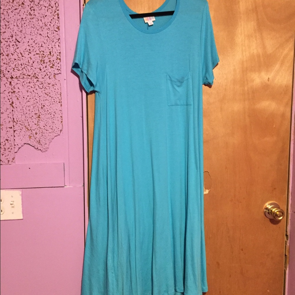 Brand new medium Carly dress