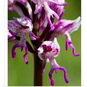 Return damaged jeans 👖@smordica