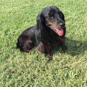 Meet your Posher, Barbara