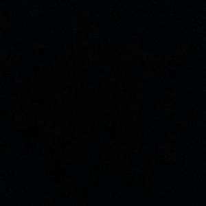 Meet your Posher, Frances