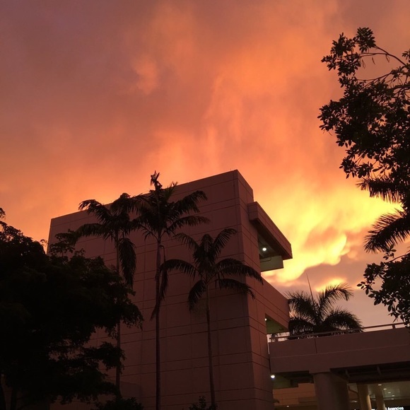 Meet your Posher, Briana - Picture 1 of 1