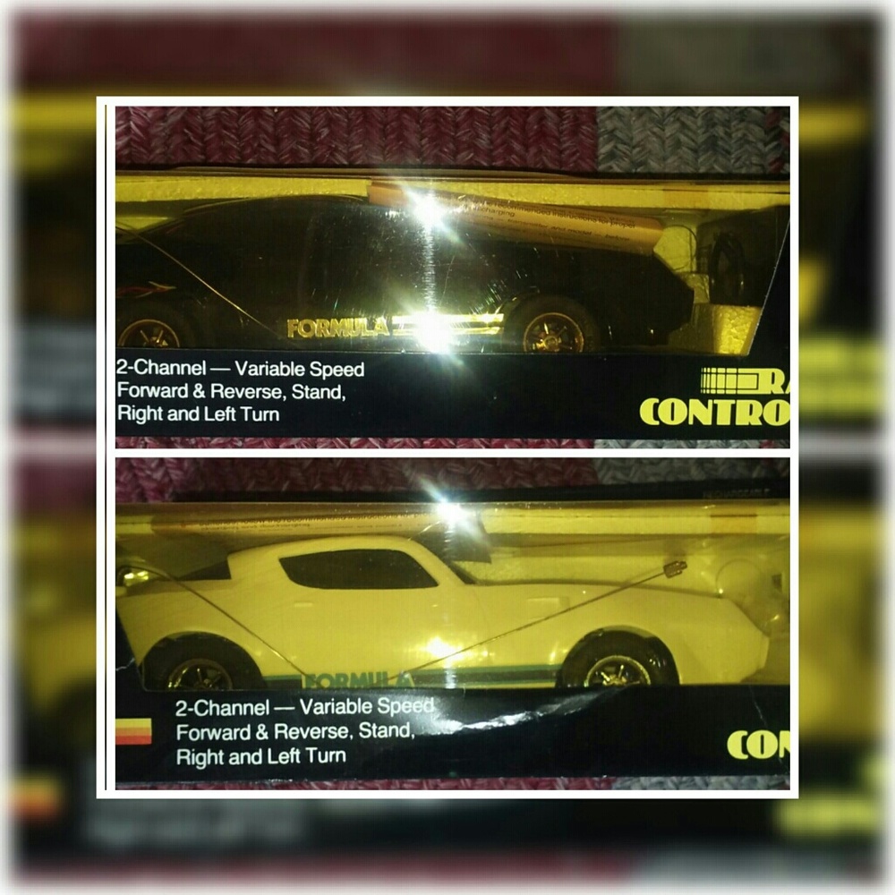 Remote control firebird