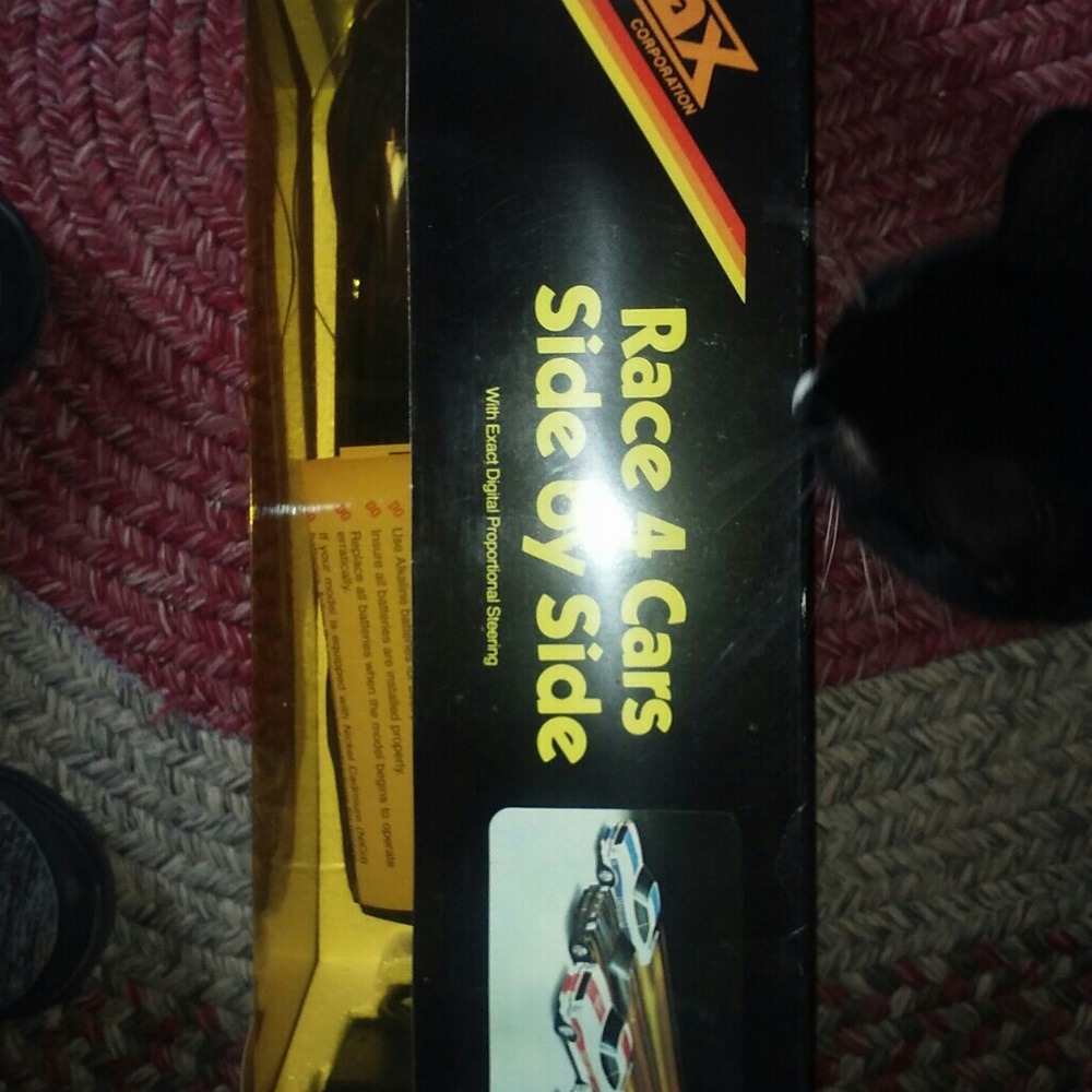 Remote control firebird - Picture 5 of 6