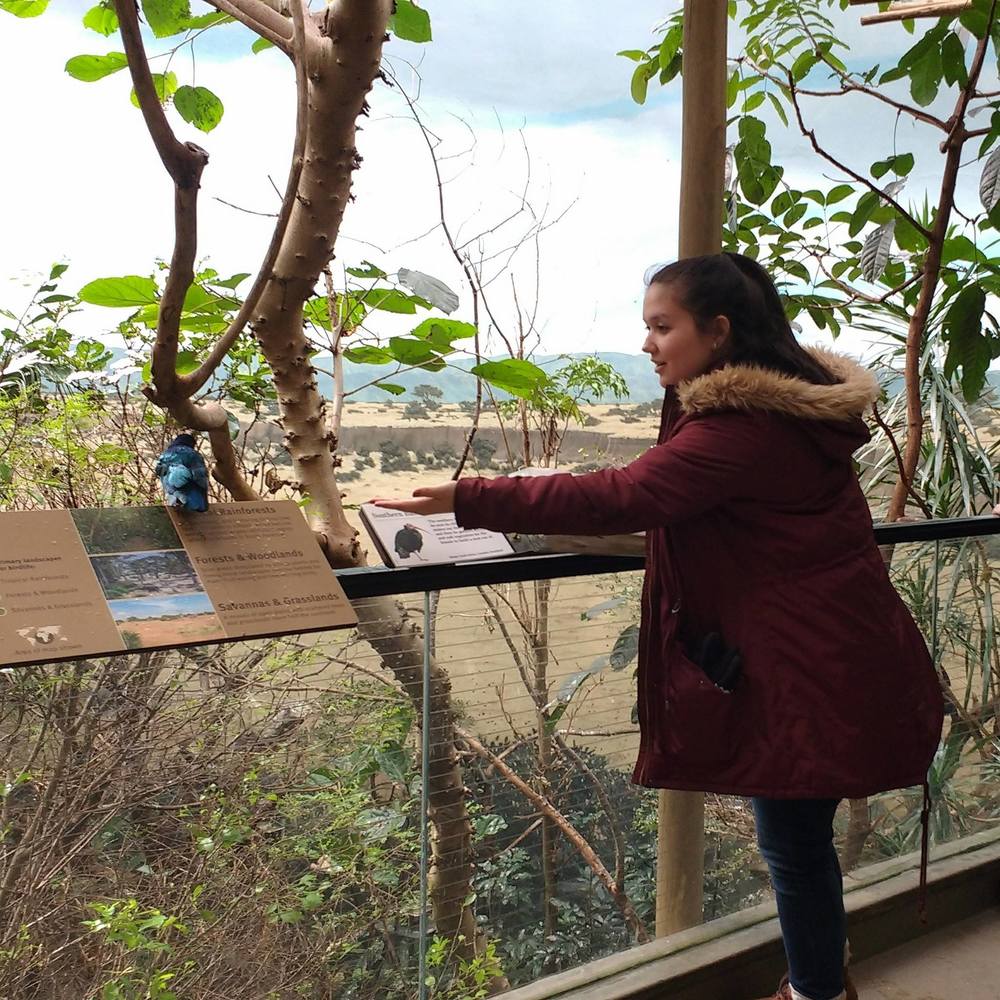 Meet your Posher, CeCe