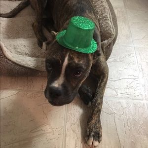 Meet your Posher, Sunitta