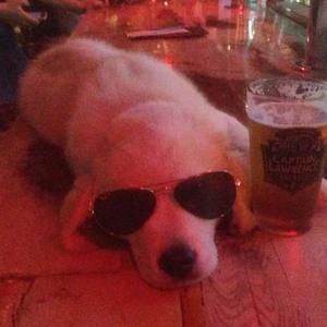 Meet your Posher, Marc