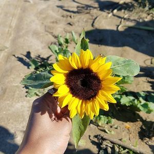 Meet your Posher, Abs