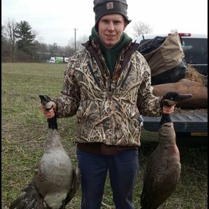 Meet your Posher, Aaron