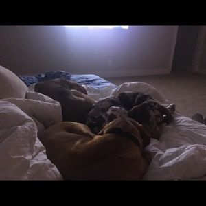 Meet your Posher, James