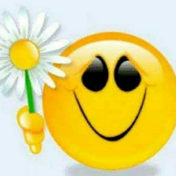 Meet your Posher, Wallace - Picture 5 of 5