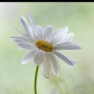 Meet your Posher, Lucy