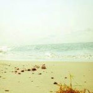 Meet your Posher, Kim's yard