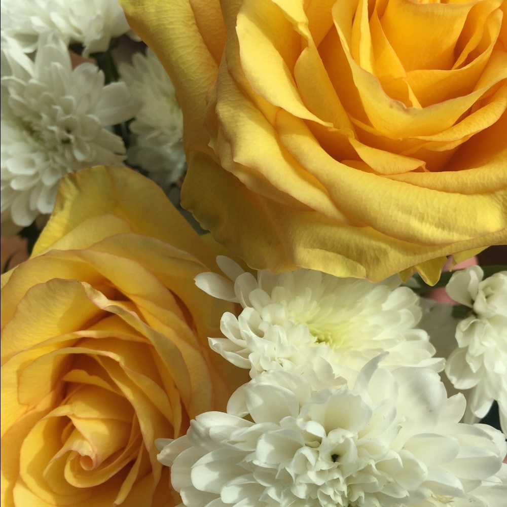 Meet your Posher, Jhalak